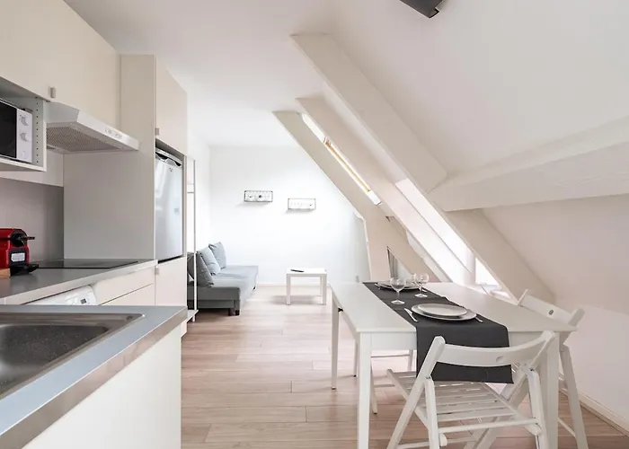 Hyper Centre - Dans Particulier - Charles Le Temeraire Apartment Dijon