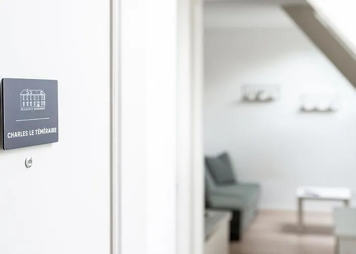 Hyper Centre - Dans Particulier - Charles Le Temeraire * Dijon