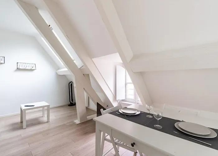 Hyper Centre - Dans Particulier - Charles Le Temeraire Apartment Dijon